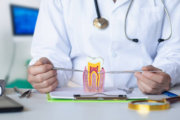 Best Same-Day Emergency Dentist in Wyong, MI
